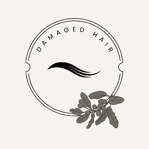 DAMAGE HAIR - Savannah Hair Therapy PR